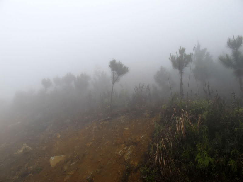 HongNgai2011745.jpg