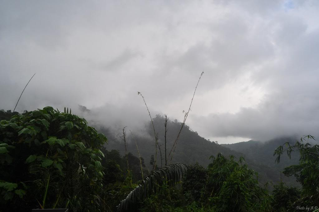 DSC_0013_zps2e7a2e5d.jpg
