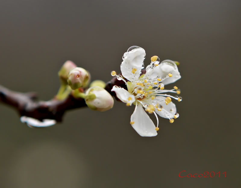 IMG_0939re.jpg