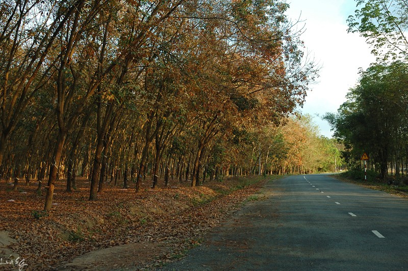 f41ea.jpg