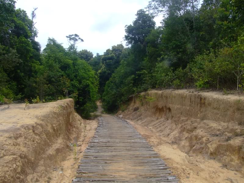 sDSCF2457.jpg