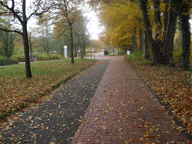 6008967664_f8e04ac5d9_z.jpg