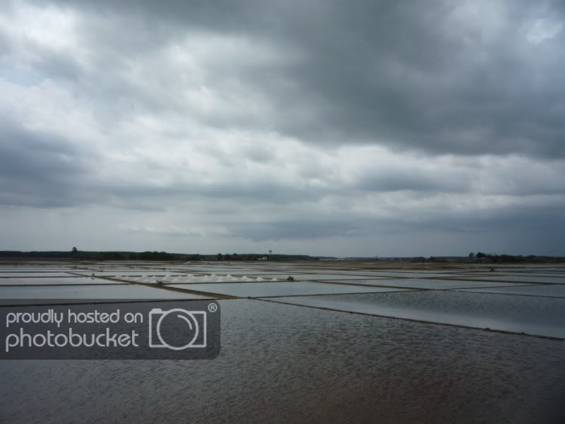 P1030286800x600-1.jpg