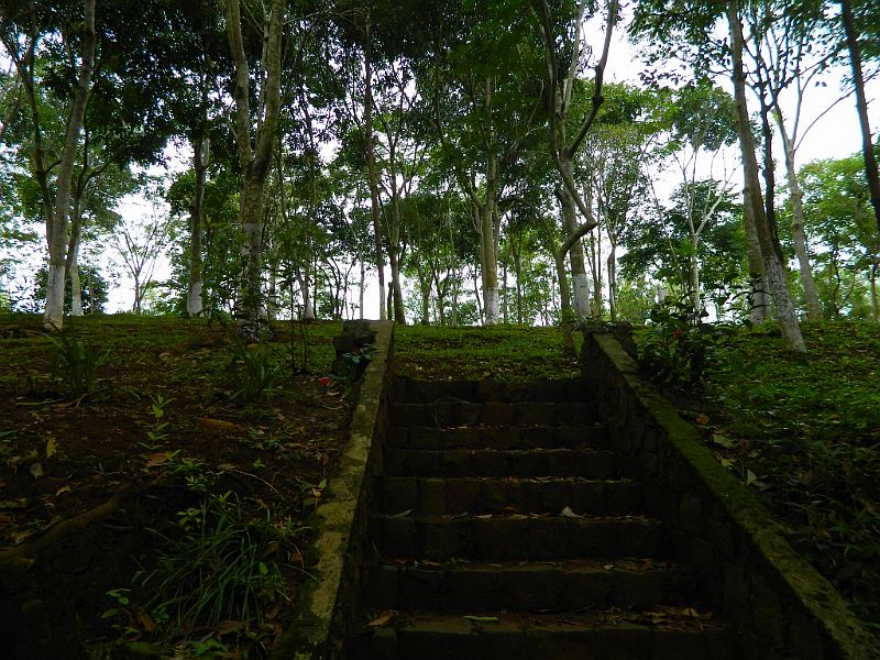 DSCN1856.jpg