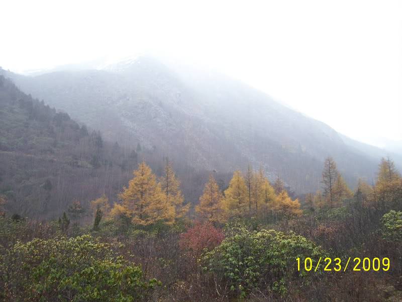 hoanglong78.jpg