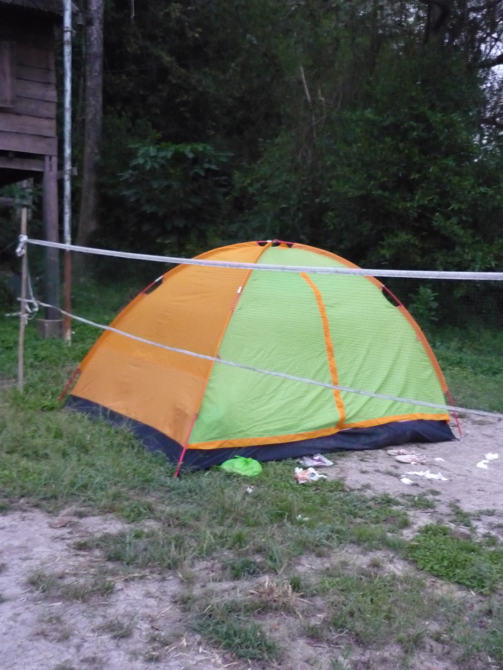 P1010125.jpg