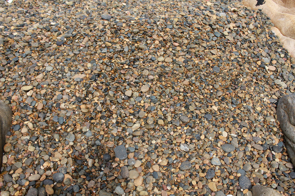 5265560975_8351490ac3_b.jpg