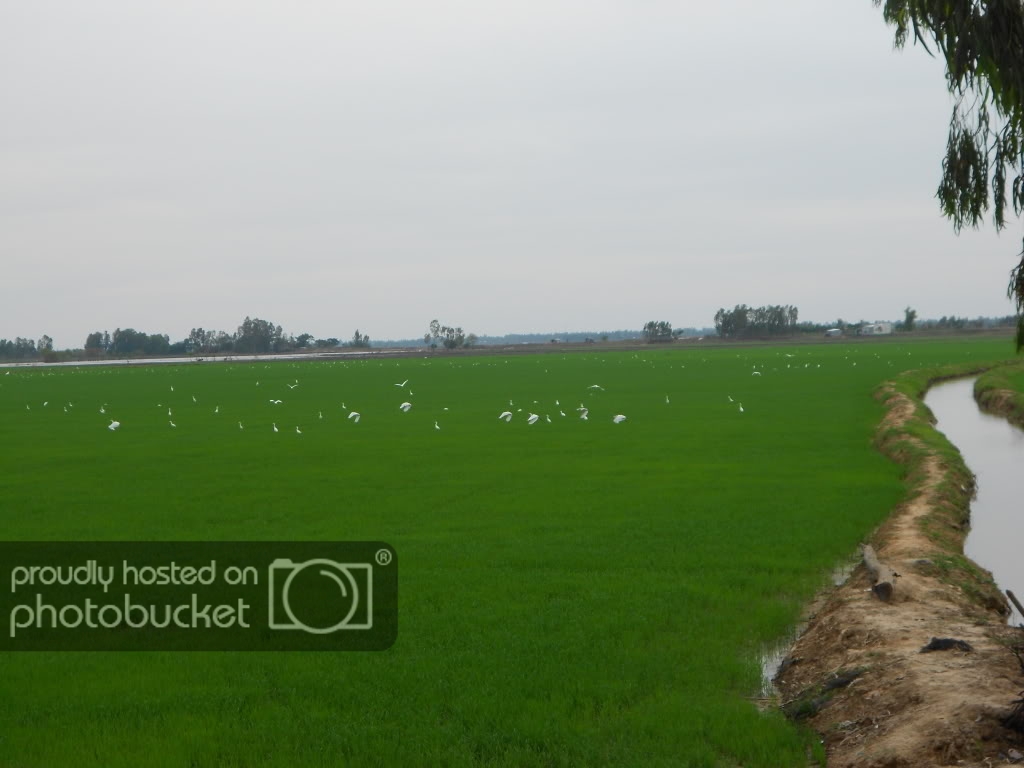DSCN0712.jpg