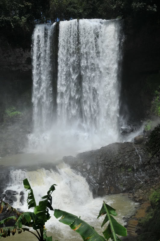 DSC_3703.jpg