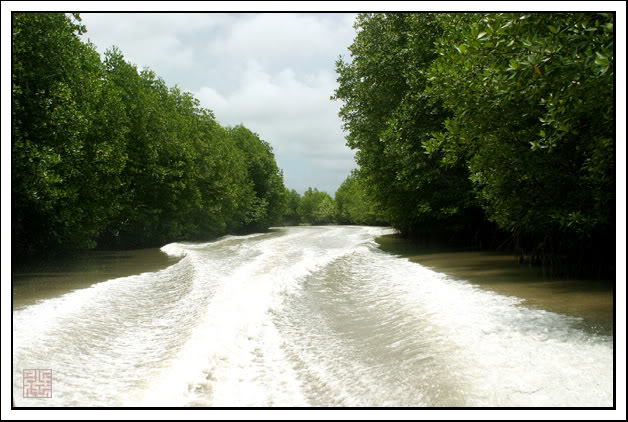 2006_09_TNB451copy.jpg