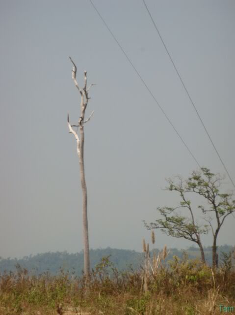DSC06177.jpg
