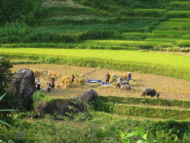 IMG_2690_01.jpg