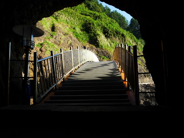 P1030127_zps35a31fde.jpg