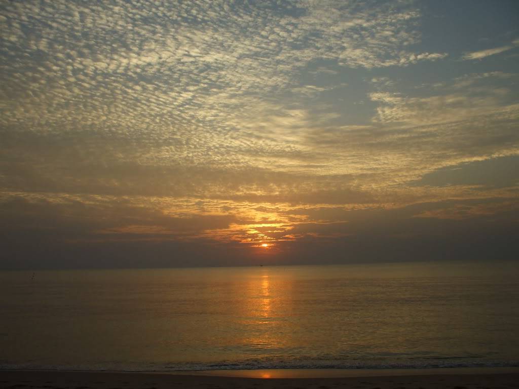 DSCF4983.jpg
