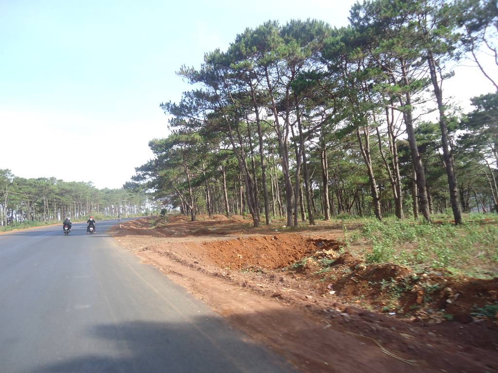 DSC01350_zps2grbwbpk.jpg