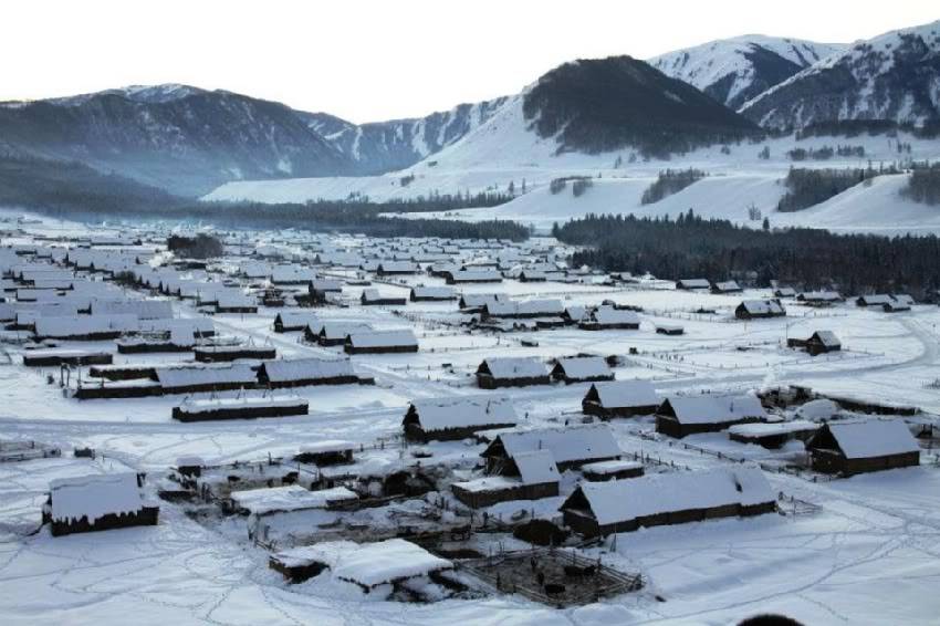 Hemu-in-Winter.jpg