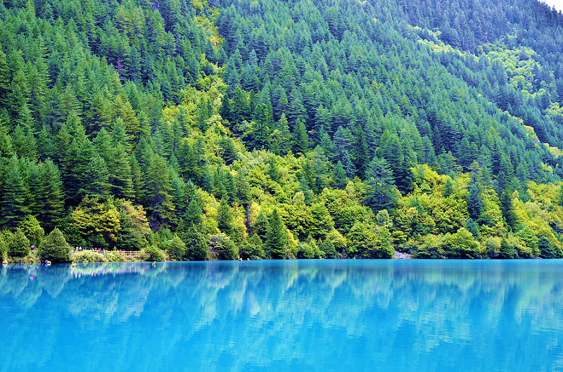 10689396326_0a9b35c290_c.jpg