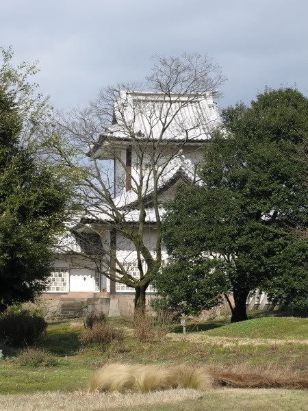 IMG_1746_resize.jpg