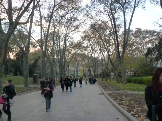 L1020694.jpg