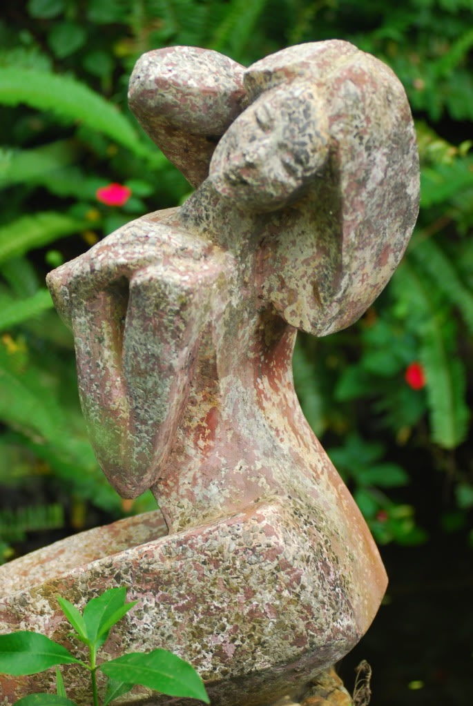 DSC_0142.jpg