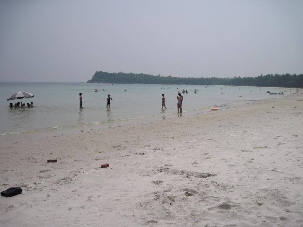 IMG_3929.jpg
