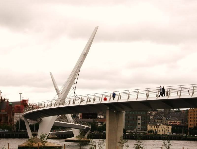 095-1.jpg