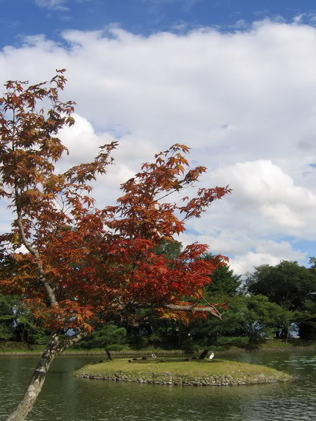 IMG_1306_resize.jpg