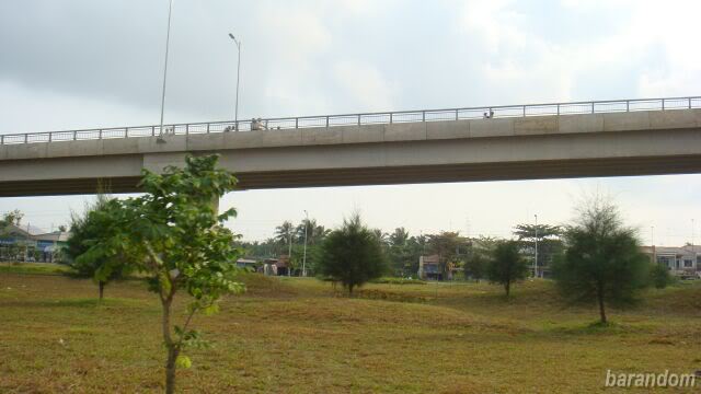 DSC06747.jpg