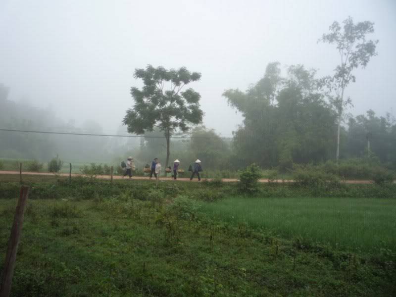P1020122800x600.jpg