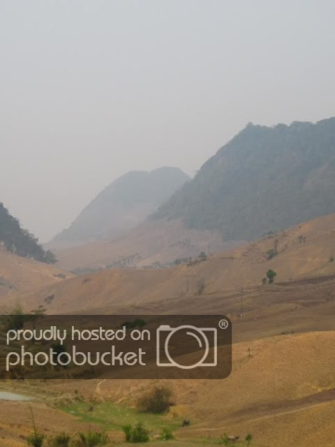 IMG_3986.jpg