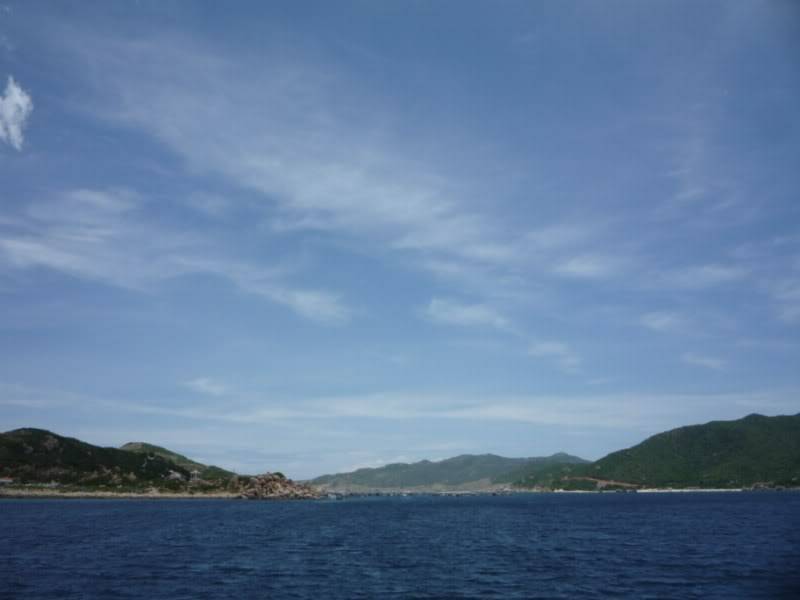 P1010549800x600.jpg