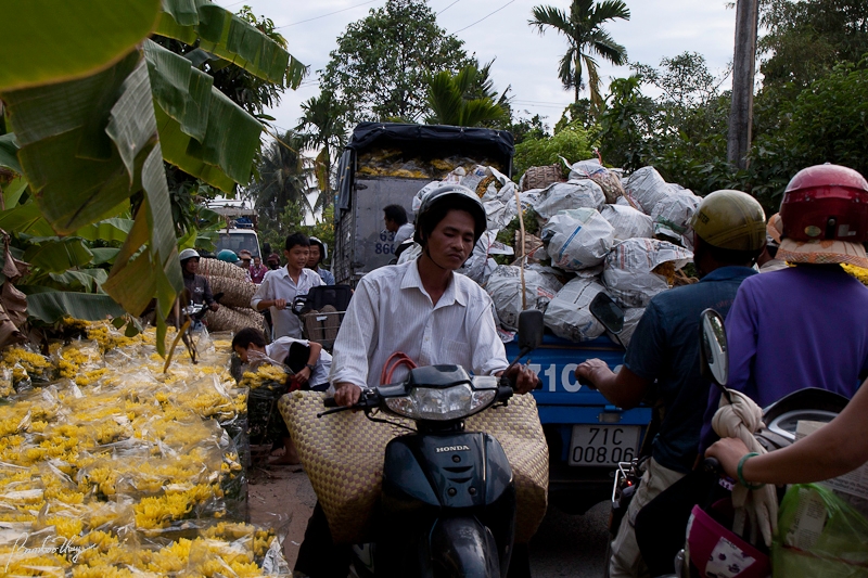 BenTre2-7465.jpg