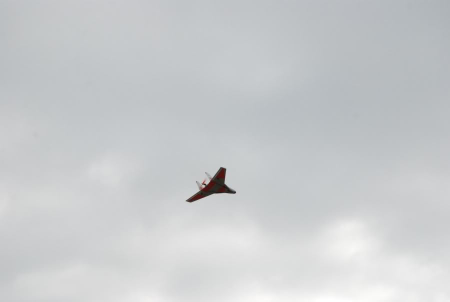 LamDSC_0010-2.jpg