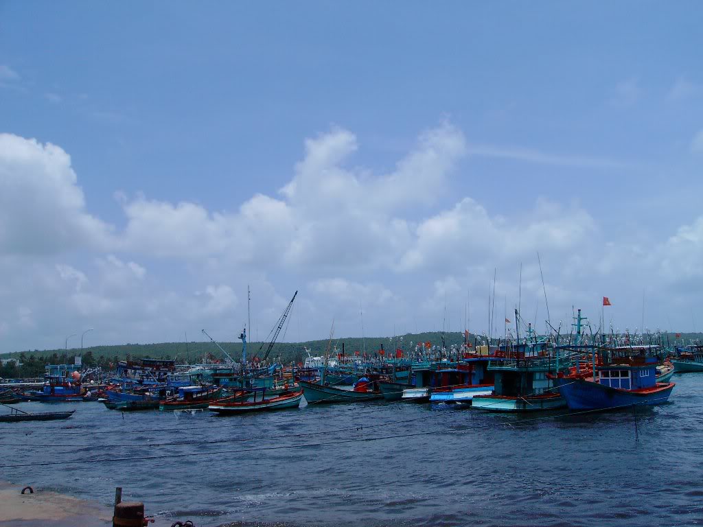 SANY4409.jpg