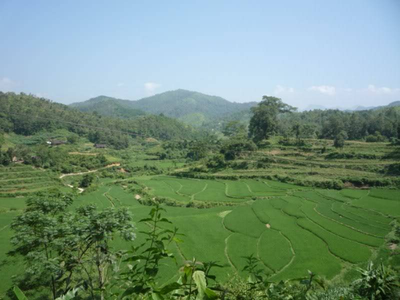 P1010873800x600.jpg