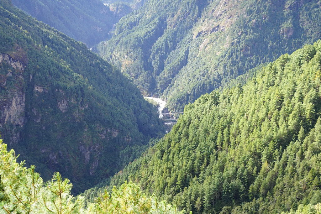 31094149081_c965ac0875_b.jpg