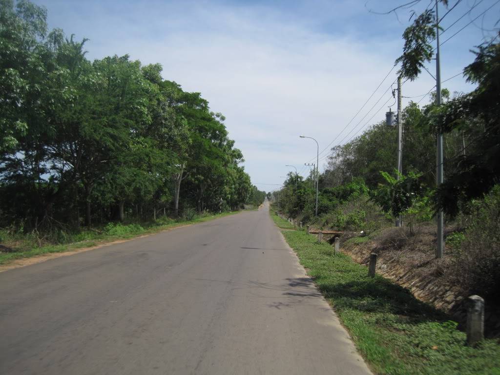 QL55QL28580.jpg