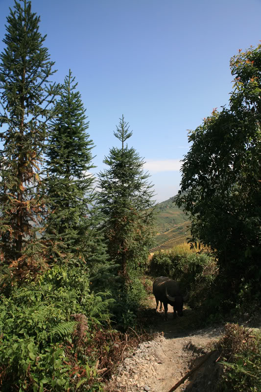IMG_5294.jpg