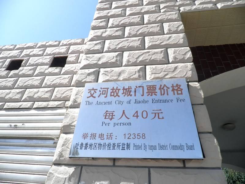 P9011707.jpg