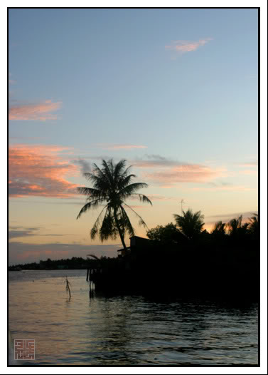 Chitto_TNB356_Coconut.jpg