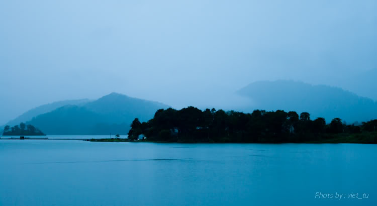dami9of11.jpg
