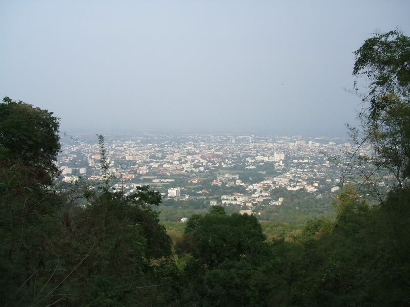 DSCF7462.jpg