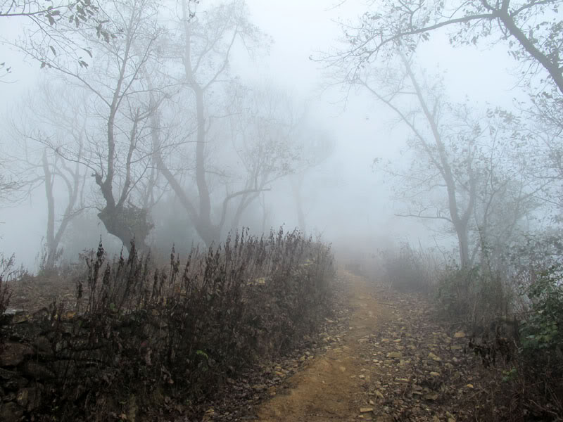 HongNgai2011571.jpg