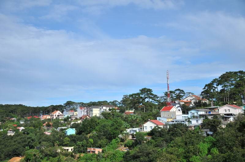 DSC_3617.jpg