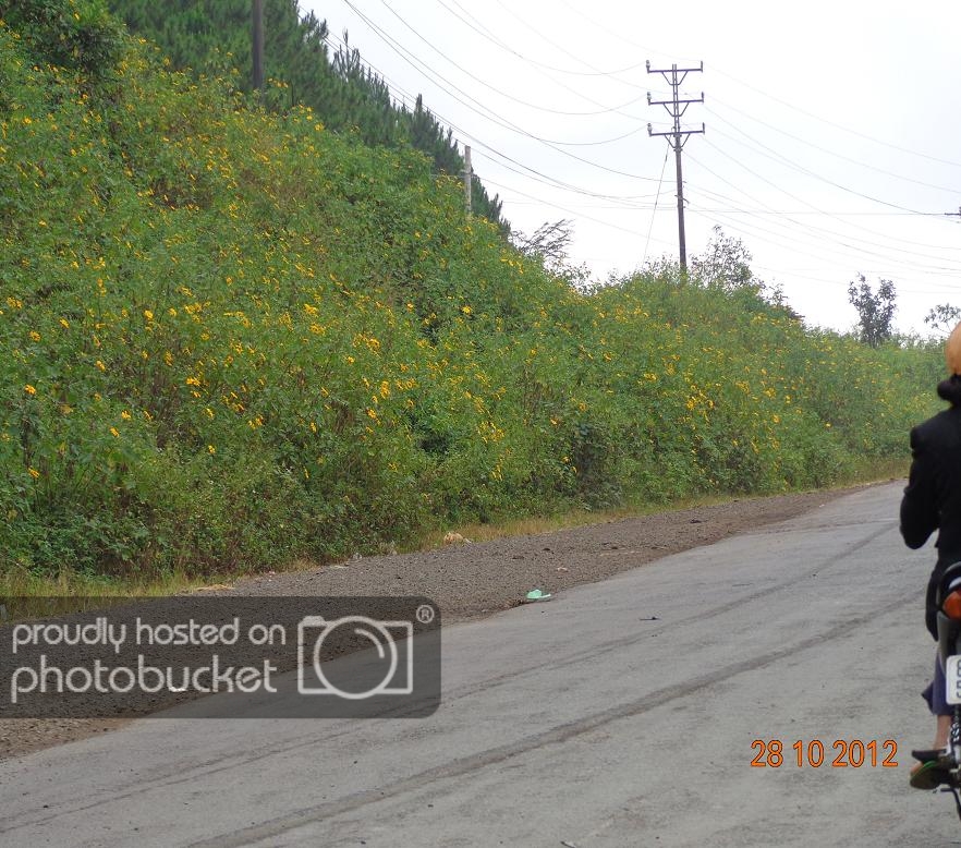 DSC00744R.jpg