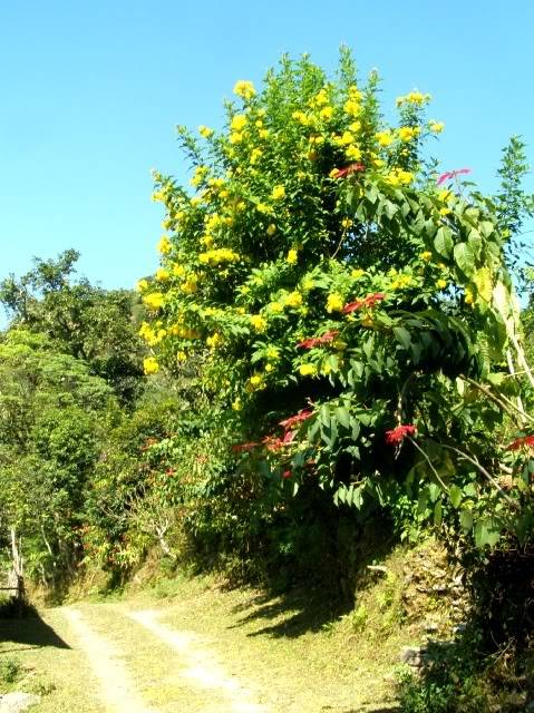 PB110036.jpg
