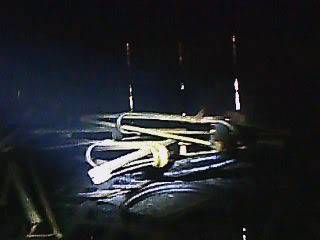 IMG0069A.jpg