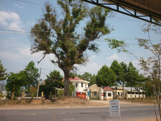 P1070223.jpg