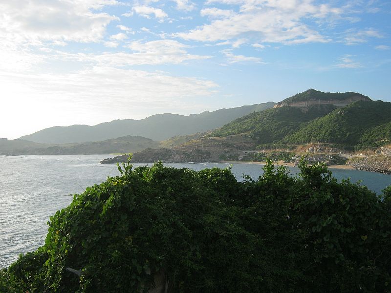 IMG_1775.jpg