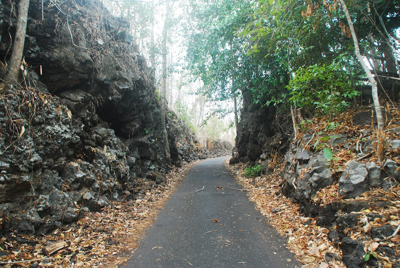 DSC_0440.JPG
